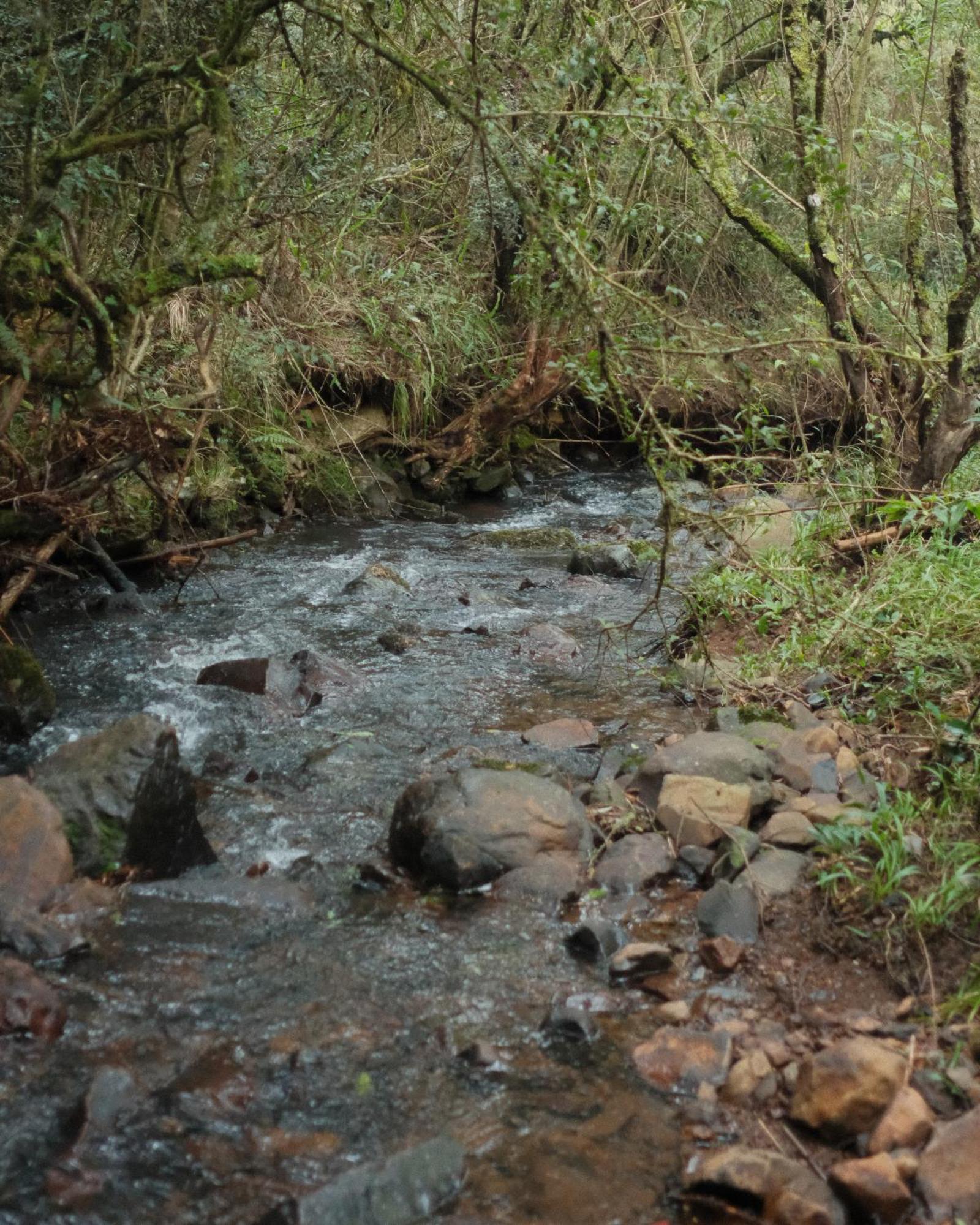 Parque Nacional Ecoresort Urubici Dış mekan fotoğraf